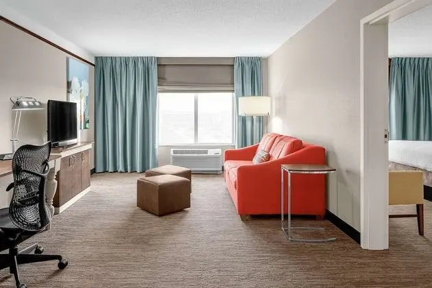 Presidential Suite, 1 King Bed with Sofabed