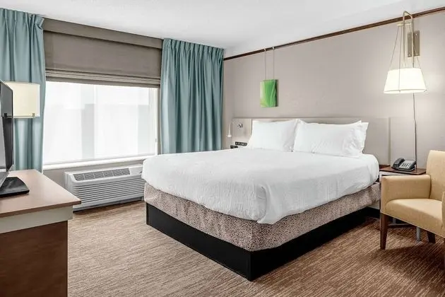 Presidential Suite, 1 King Bed with Sofabed