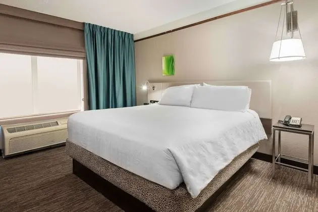 Presidential Suite, 1 King Bed with Sofabed