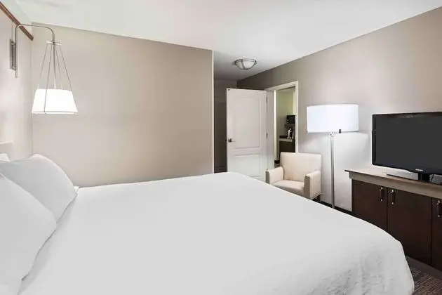 Presidential Suite, 1 King Bed with Sofabed