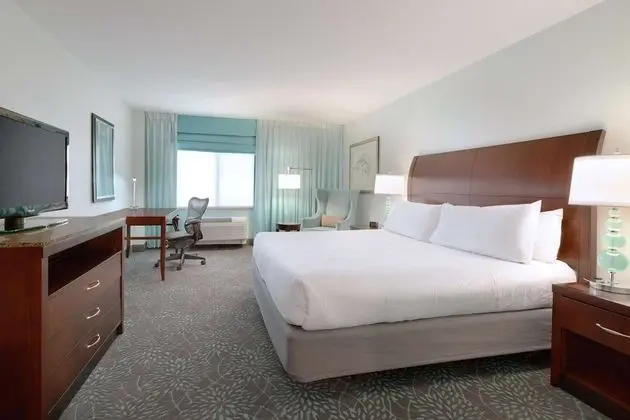 One King Bed, with Bathtub, Accessible