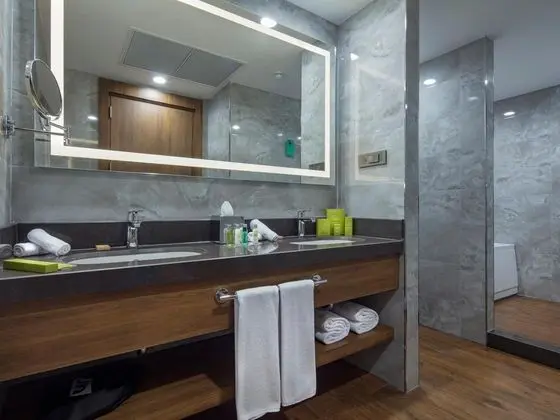Suite,Şehir Manzaralı,Jakuzili