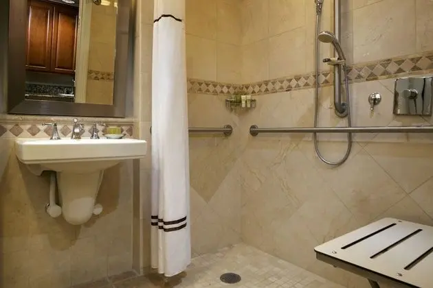 Stüdyo, 1 En Büyük (King) Boy Yatak, Engellilere Uygun, Küçük Mutfak (Roll-In Shower, Hearing)