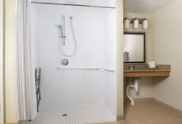 Süit, 1 Yatak Odası, Engellilere Uygun (Mobility Accessible, Roll-in Shower)