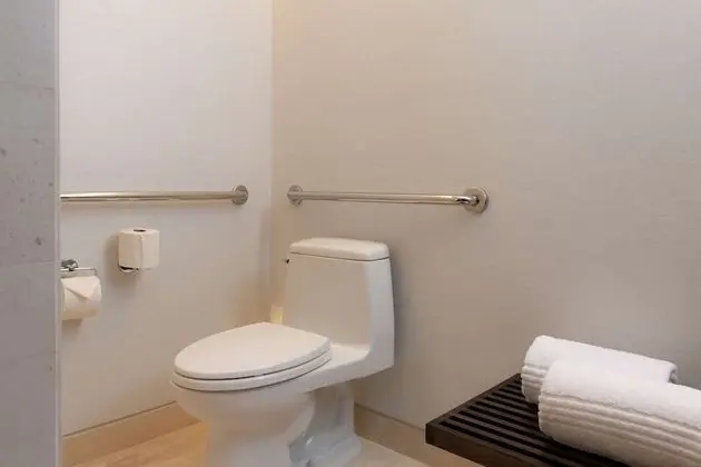 Oda, 1 En Büyük (King) Boy Yatak, Engellilere Uygun (Roll-in Shower)