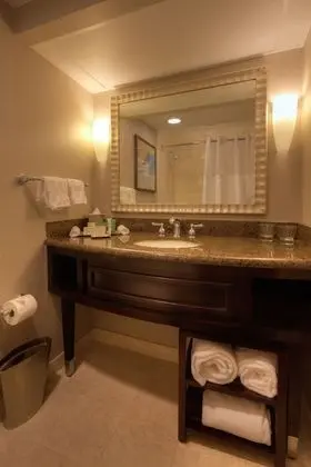 Oda, 1 En Büyük (King) Boy Yatak, Engellilere Uygun (Mobility & Hearing, Bathtub)