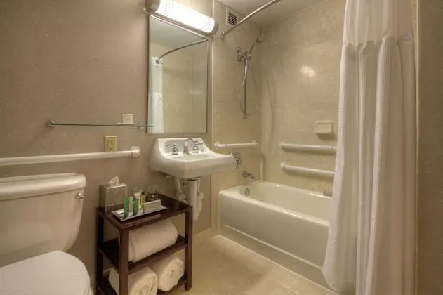 Oda, 1 En Büyük (King) Boy Yatak, Engellilere Uygun (Mobility & Hearing, Bathtub)