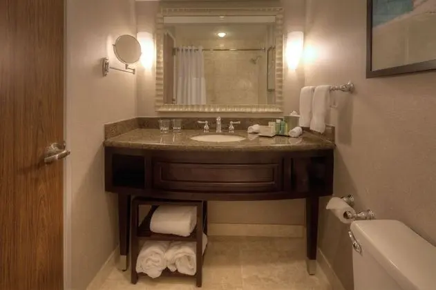 Oda, 1 En Büyük (King) Boy Yatak, Engellilere Uygun (Mobility & Hearing, Bathtub)