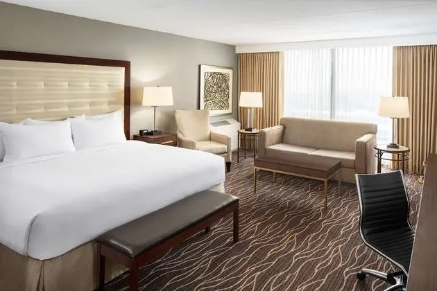 Deluxe, Larger Room,1 King w/ Sofa Bed