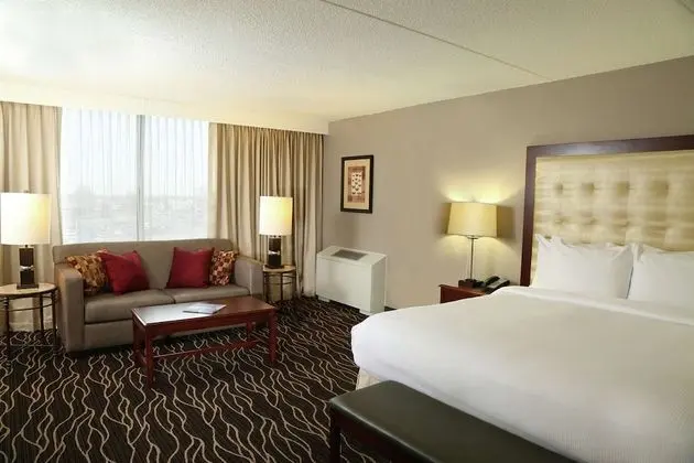 Deluxe, Larger Room,1 King w/ Sofa Bed