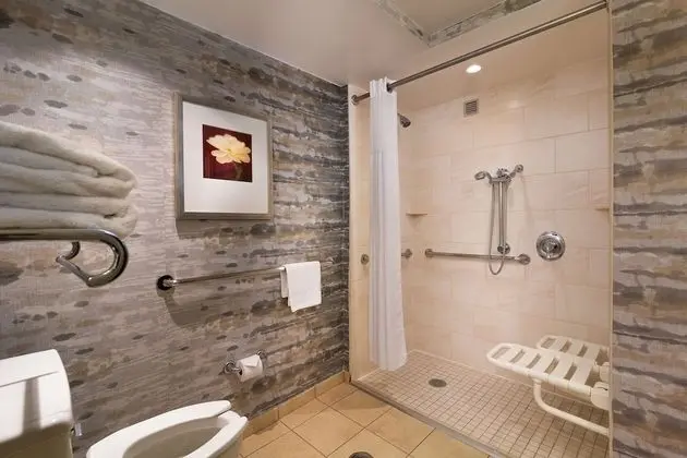 Oda, 1 En Büyük (King) Boy Yatak, Engellilere Uygun (Mobility & Hearing, Roll-in Shower)