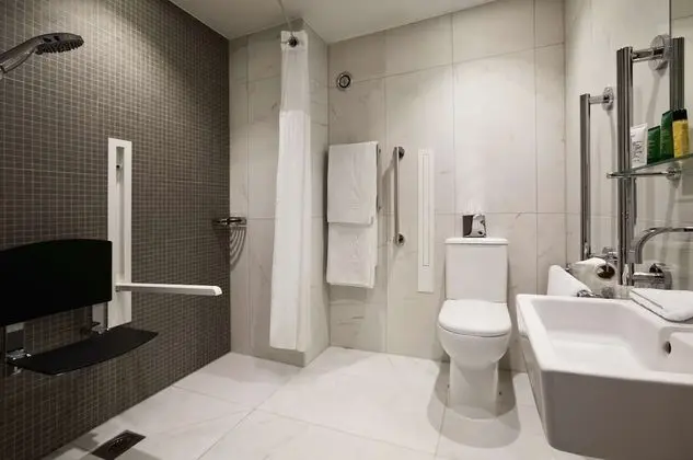 Deluxe Oda, 1 Çift Kişilik Yatak, Engellilere Uygun