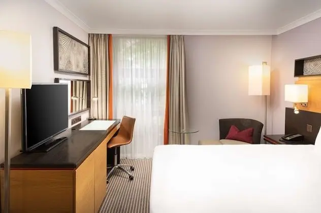 Deluxe Oda, 1 Çift Kişilik Yatak