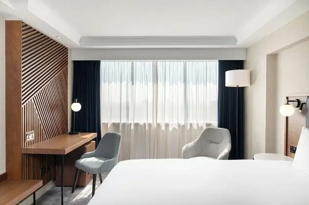 Deluxe Tek Büyük Yataklı Oda, 1 En Büyük (King) Boy Yatak, Şehir Manzaralı