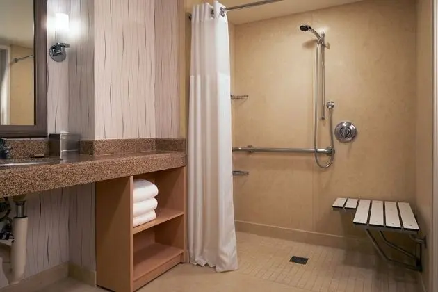 Oda, 1 En Büyük (King) Boy Yatak, Engellilere Uygun (Roll-In Shower)