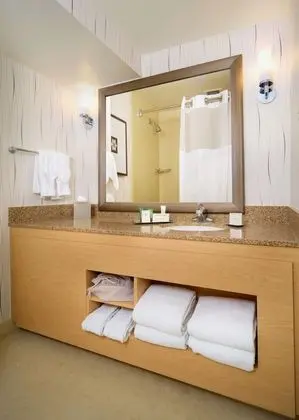 Oda, 1 En Büyük (King) Boy Yatak, Engellilere Uygun (Roll-In Shower)