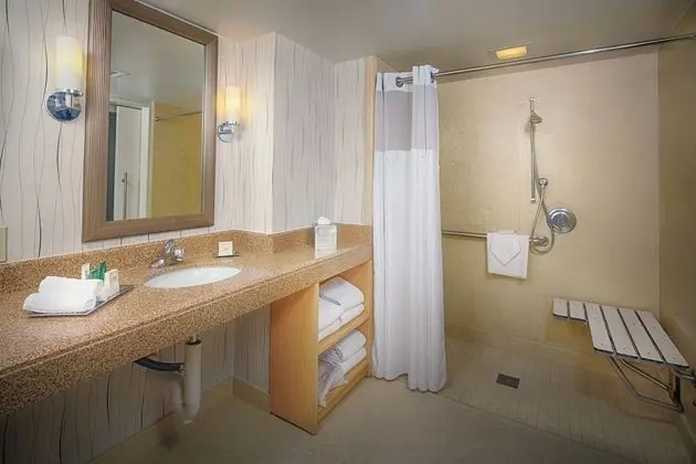 Oda, 1 En Büyük (King) Boy Yatak, Engellilere Uygun (Roll-In Shower)