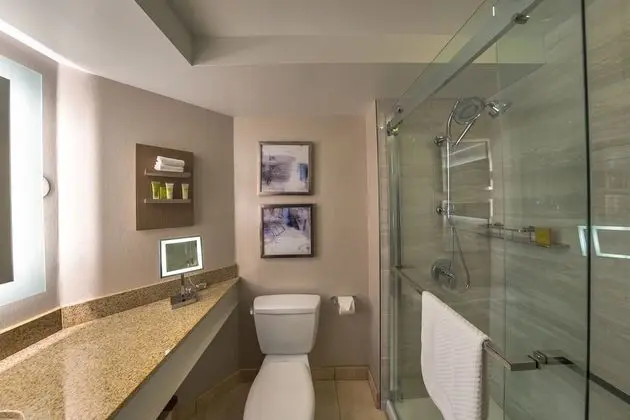 Oda, 1 En Büyük (King) Boy Yatak, Engellilere Uygun (Roll-In Shower)