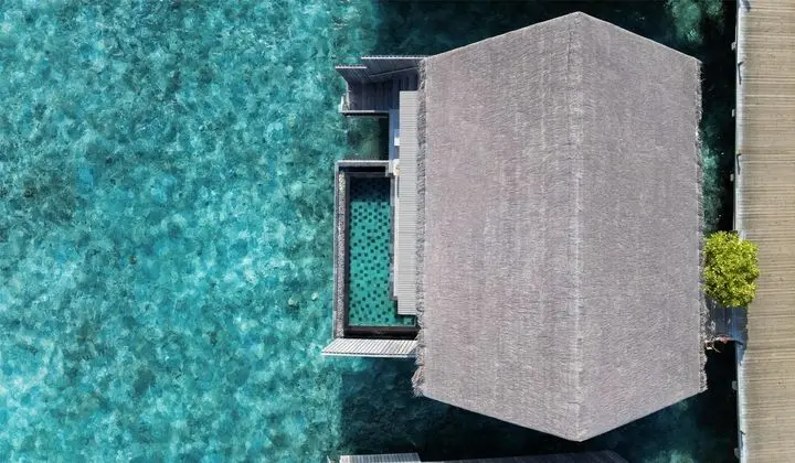 Villa, 1 En Büyük (King) Boy Yatak, Deniz Üstü (Pool)