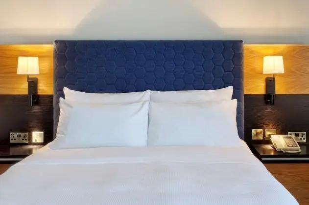 Deluxe Oda, 1 Çift Kişilik Yatak