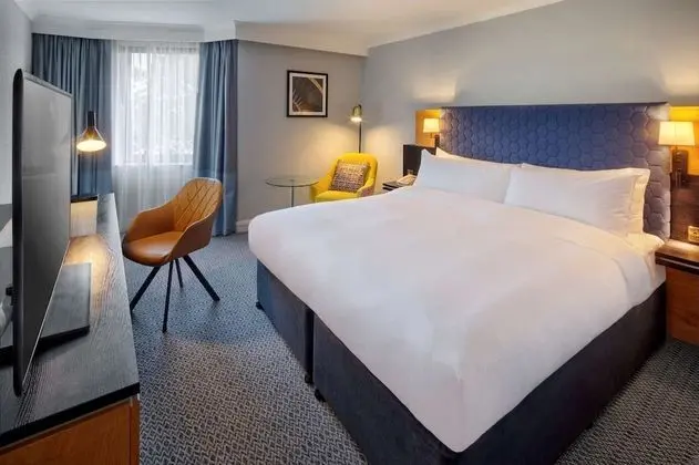 Deluxe Oda, 1 Çift Kişilik Yatak