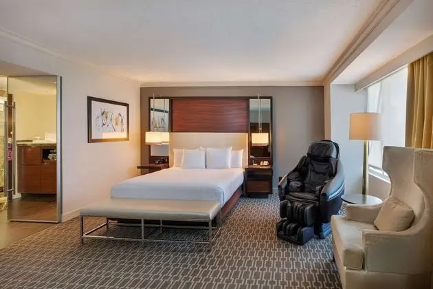 Premier Oda, 1 En Büyük (King) Boy Yatak (Wellness Room)