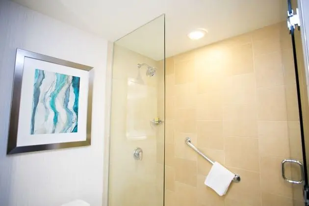 Oda, 1 En Büyük (King) Boy Yatak, Engellilere Uygun, Sigara İçilmez (Roll-in Shower)