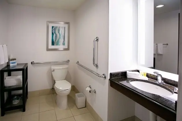 Oda, 1 En Büyük (King) Boy Yatak, Engellilere Uygun, Sigara İçilmez (Roll-in Shower)