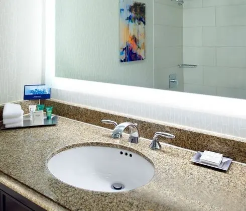 Oda, 1 En Büyük (King) Boy Yatak, Engellilere Uygun (Roll-In Shower)