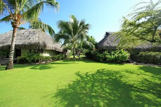 Deluxe Bungalov (Garden Twin with Private Pool)