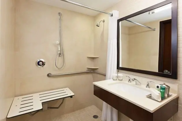 One Queen Bed, Roll In Shower