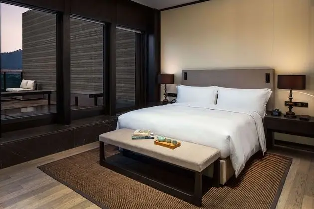 Executive Oda, 1 En Büyük (King) Boy Yatak, Teras (Lounge Access)