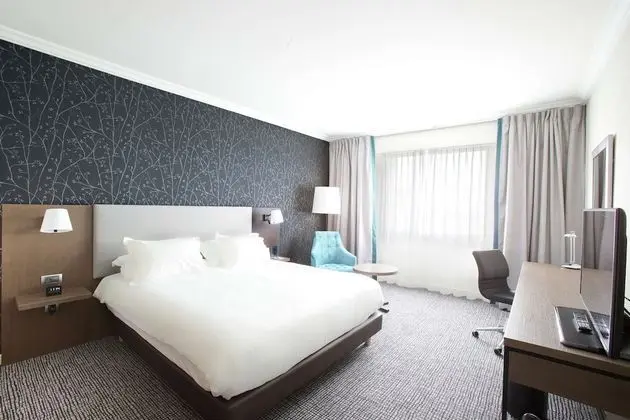 Executive Oda, 1 En Büyük (King) Boy Yatak (Newly Renovated)