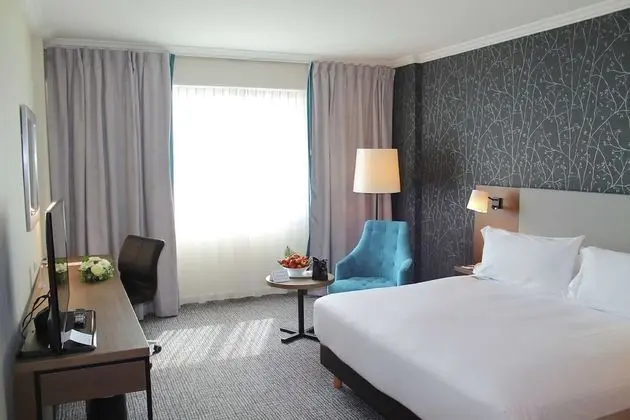 Executive Oda, 1 En Büyük (King) Boy Yatak (Newly Renovated)