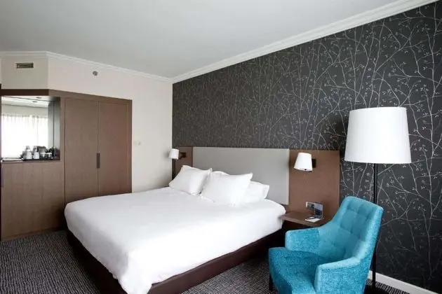 Executive Oda, 1 En Büyük (King) Boy Yatak (Newly Renovated)