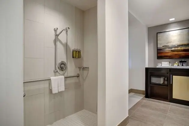 Oda, 1 En Büyük (King) Boy Yatak, Engellilere Uygun, Sigara İçilmez (Roll-in Shower)