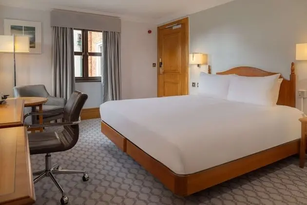 Oda, 1 Çift Kişilik Yatak (Double Hilton Guest Room)