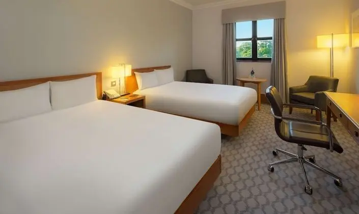 Oda, 1 Çift Kişilik Yatak (Double Hilton Guest Room)