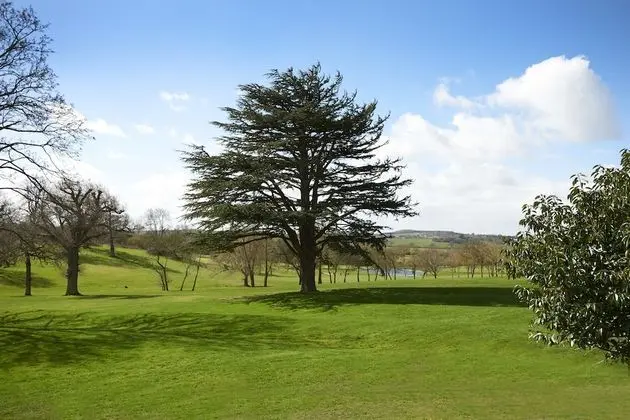 Twin Room, Golf View