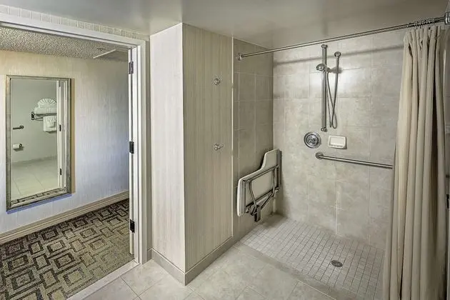 Oda, Engellilere Uygun, Sigara İçilmez (Roll-in Shower)