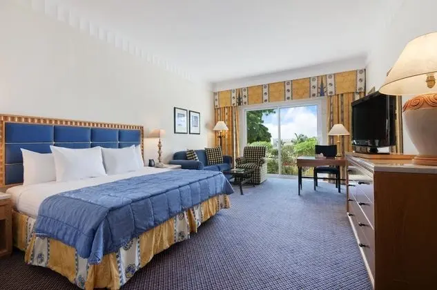 Oda, 1 En Büyük (King) Boy Yatak