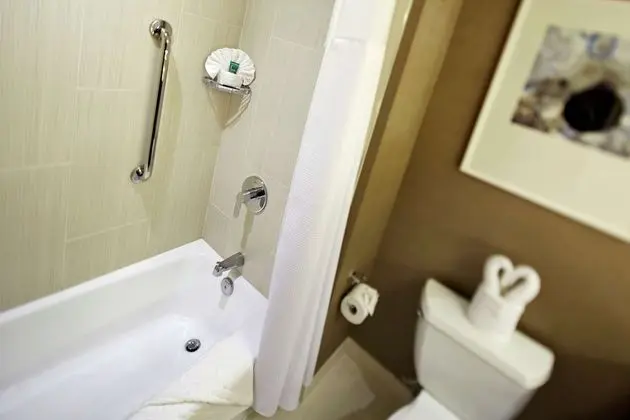 Oda, Engellilere Uygun, Sigara İçilmez (Mobility & Hearing, Roll-in Shower)