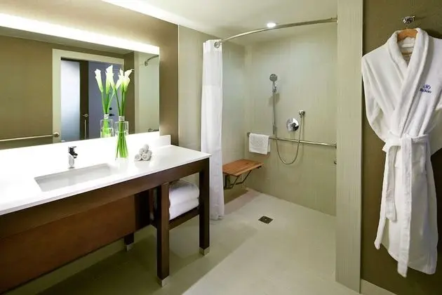 Oda, Engellilere Uygun, Sigara İçilmez (Mobility & Hearing, Roll-in Shower)