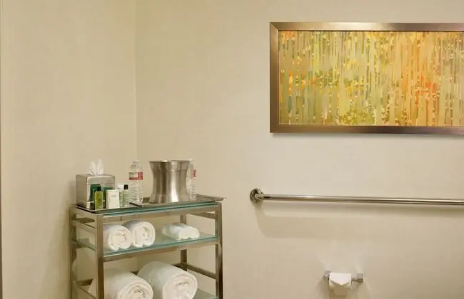 Deluxe, One Queen Bed, Roll In Shower - Resort Fee Waived