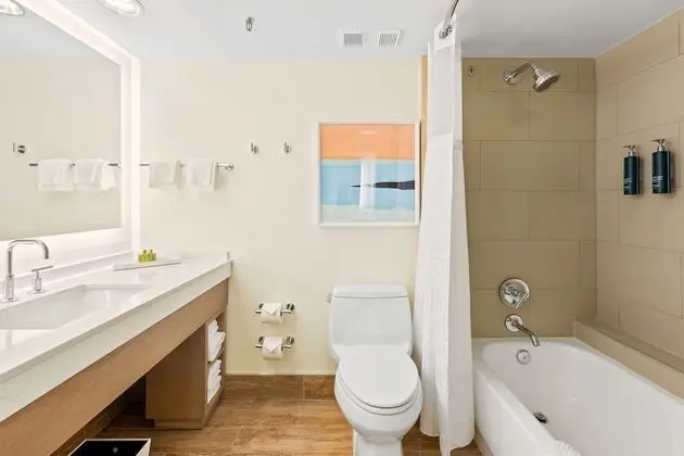 Süit, 1 En Büyük (King) Boy Yatak (1 Bedroom)