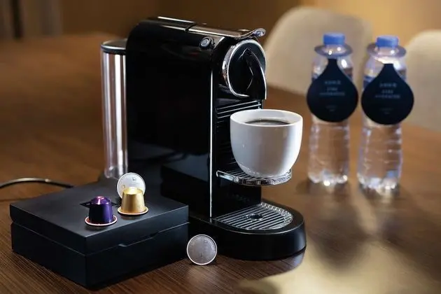 Deluxe Süit, 1 Yatak Odası