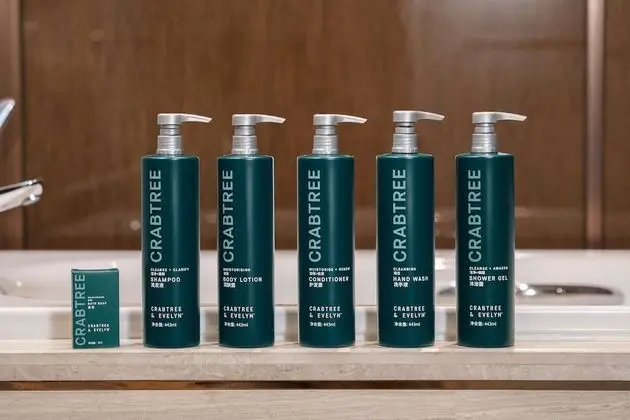 Executive İki Ayrı Yataklı Oda, Business Dinlenme Salonu Kullanımı