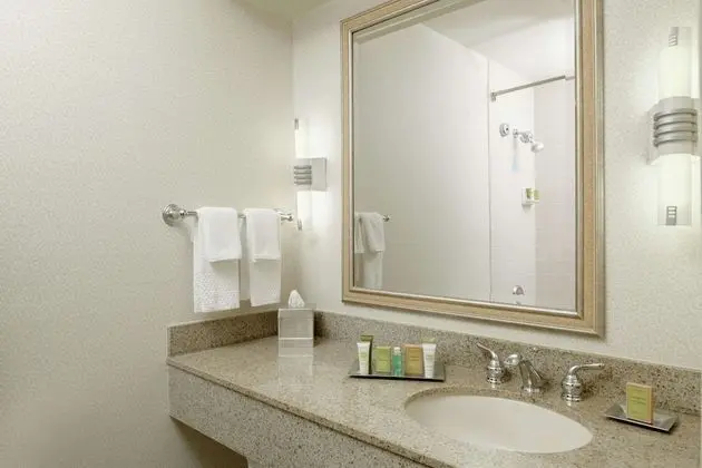 Lakeview King Bed Suite - Accessible