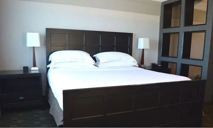 1 KING DELUXE SUITE WITH PARLOR - SOFA BED