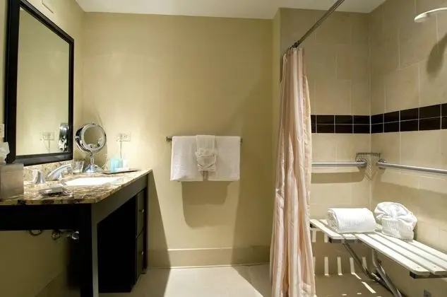 Oda, Engellilere Uygun, Sigara İçilmez (Roll-in Shower)